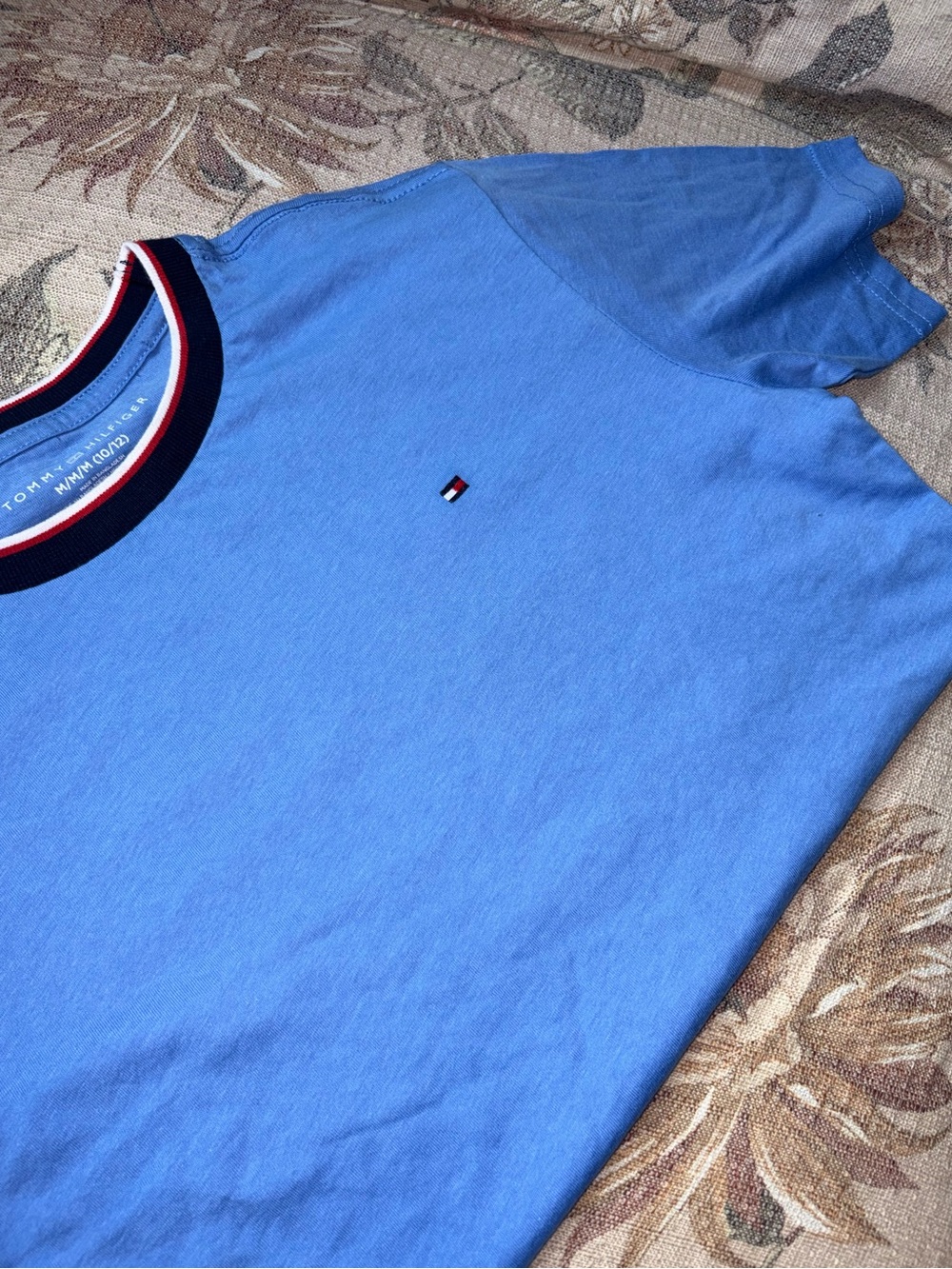 Tommy Hilfiger Men’s Sky Blue Crewneck Tee with Navy Trim